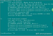 Linux终端利器：九大实用命令助您轻松提升工作效率