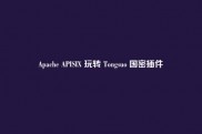 Apache APISIX 玩转 Tongsuo 国密插件